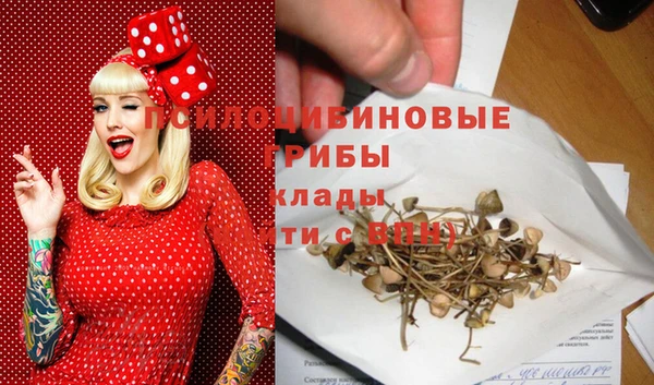 МДМА Инсар