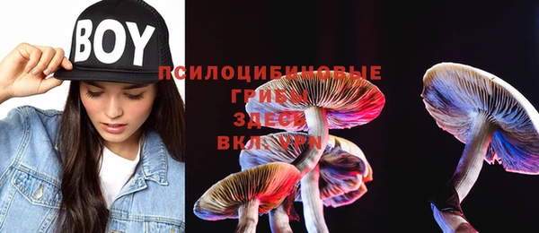 ешки Зерноград